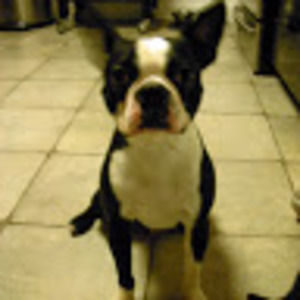 Meet your Posher, Shannon